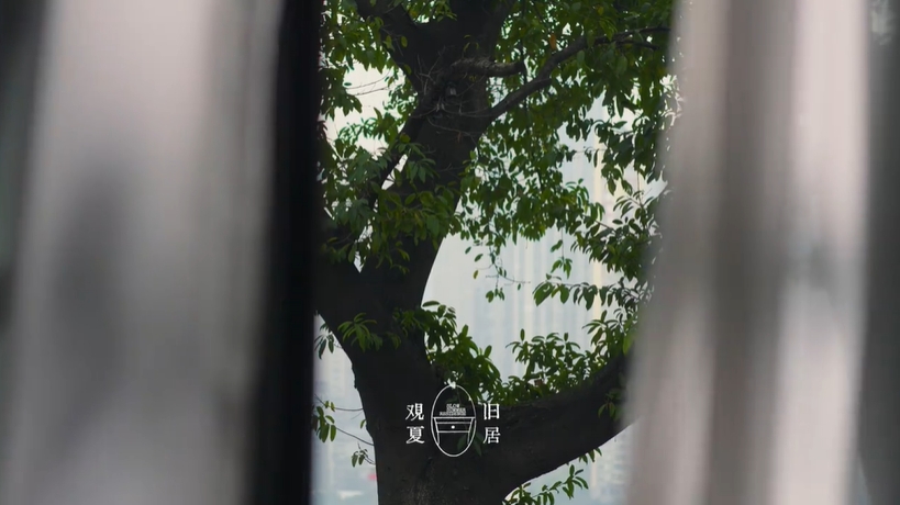 仅夏天可见的一封信