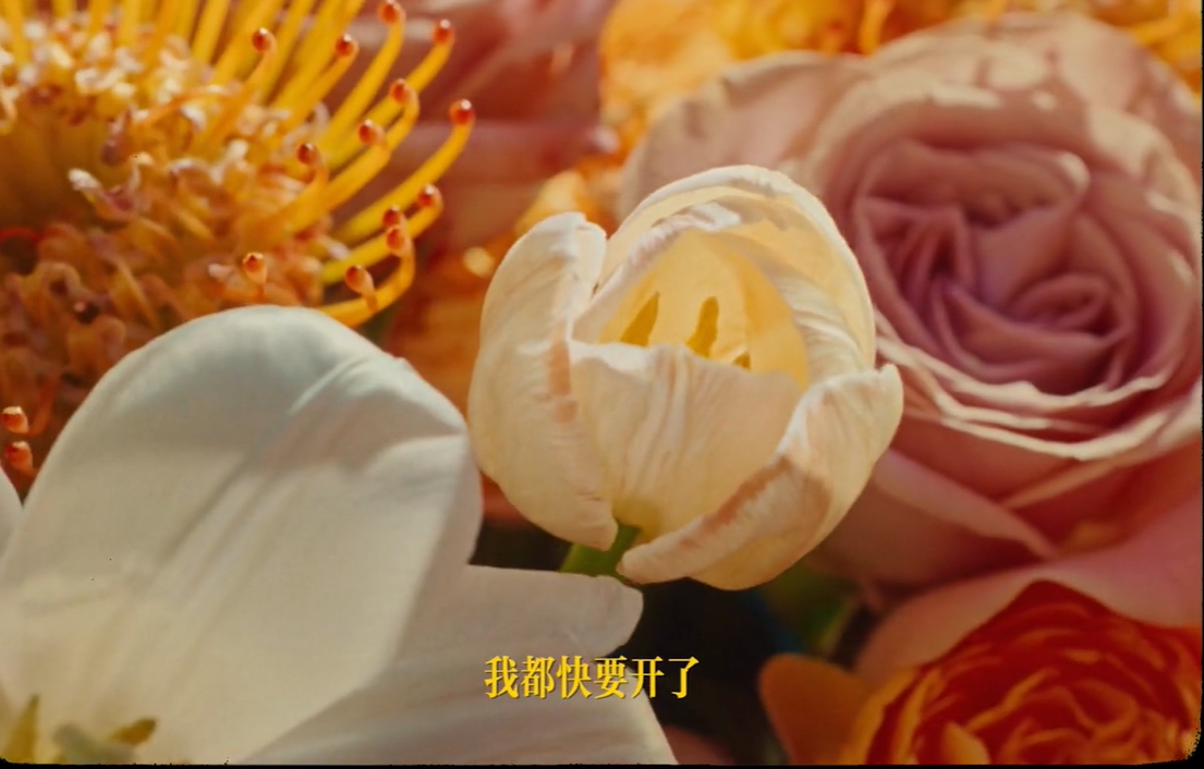 “花”语人生，520吐槽开花会